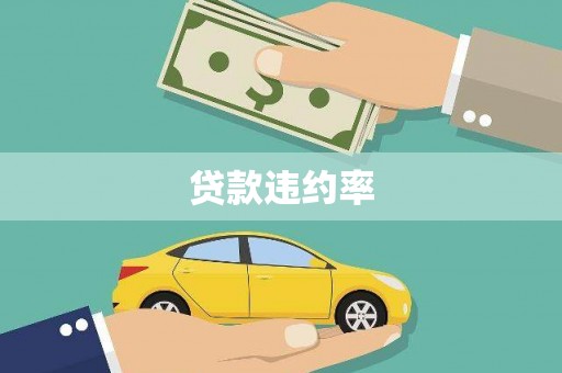 翔安贷款违约率
