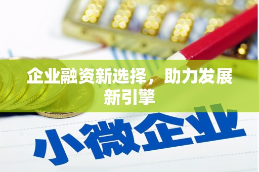 翔安企业融资新选择，助力发展新引擎