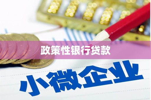 翔安政策性银行贷款