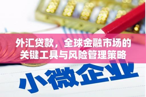 翔安外汇贷款，全球金融市场的关键工具与风险管理策略