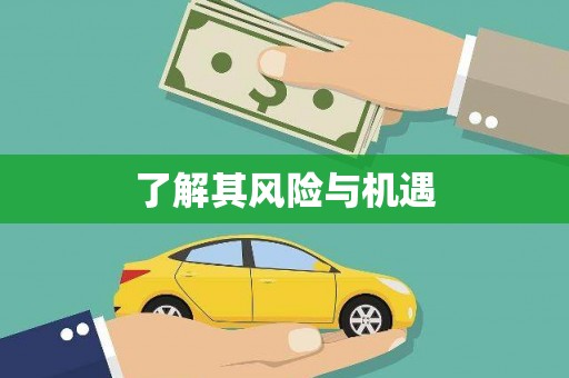 翔安了解其风险与机遇