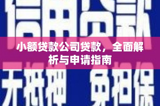 翔安小额贷款公司贷款，全面解析与申请指南