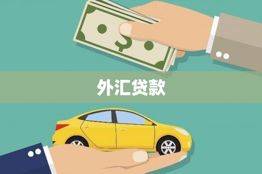翔安外汇贷款