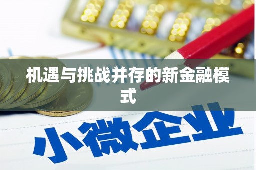 翔安机遇与挑战并存的新金融模式