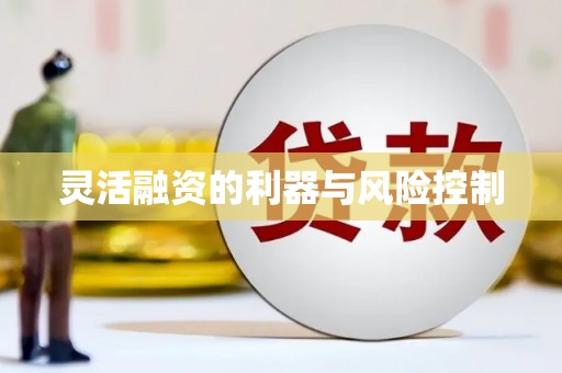 翔安灵活融资的利器与风险控制
