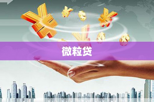 翔安微粒贷