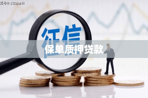 翔安保单质押贷款