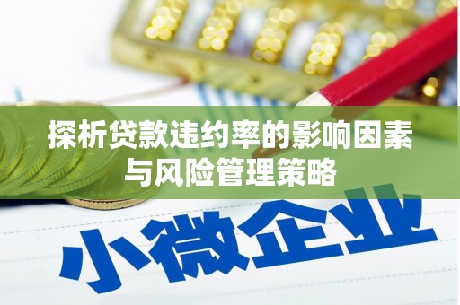翔安探析贷款违约率的影响因素与风险管理策略