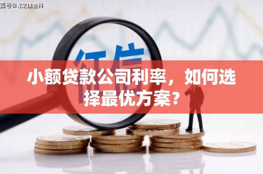 翔安小额贷款公司利率，如何选择最优方案？