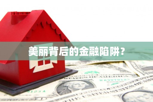 翔安美丽背后的金融陷阱？