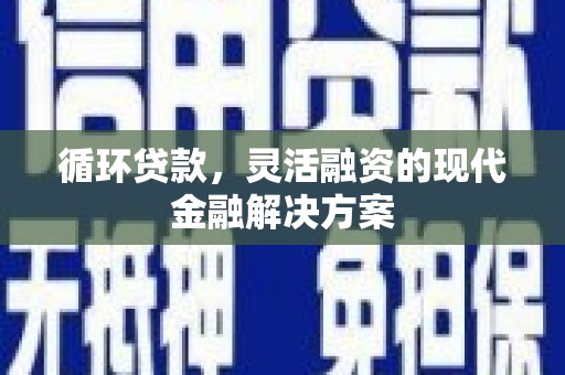翔安循环贷款，灵活融资的现代金融解决方案