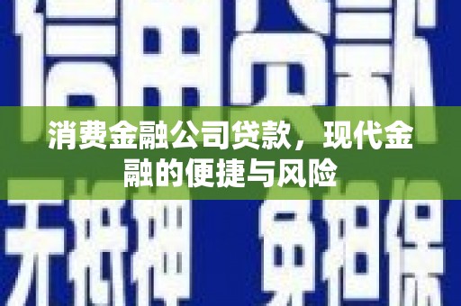 翔安消费金融公司贷款，现代金融的便捷与风险