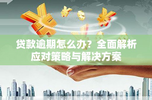 翔安贷款逾期怎么办？全面解析应对策略与解决方案