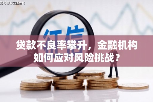 翔安贷款不良率攀升，金融机构如何应对风险挑战？