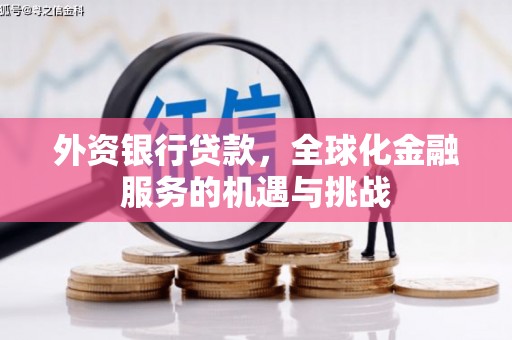 翔安外资银行贷款，全球化金融服务的机遇与挑战