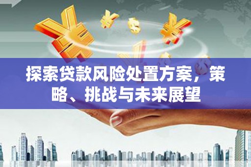 翔安探索贷款风险处置方案，策略、挑战与未来展望