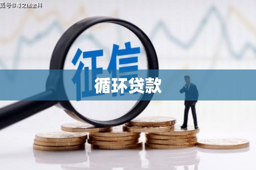 翔安循环贷款