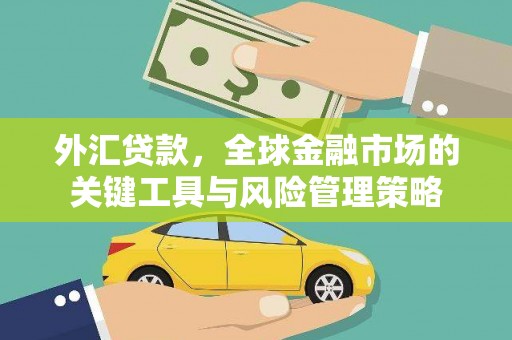 翔安外汇贷款，全球金融市场的关键工具与风险管理策略