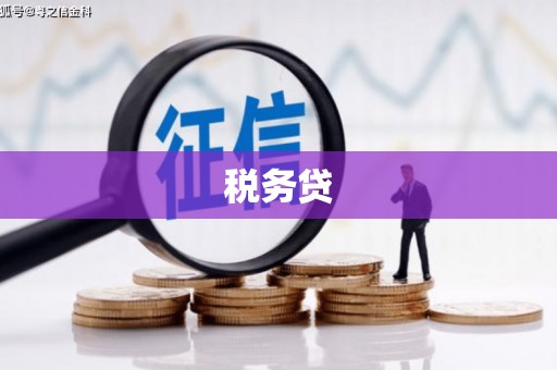 翔安税务贷