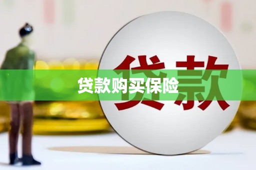 翔安贷款购买保险