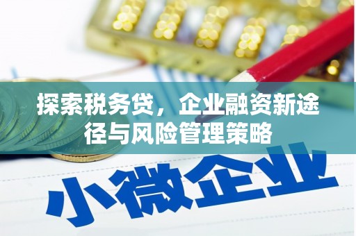 翔安探索税务贷，企业融资新途径与风险管理策略