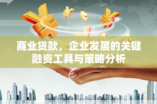 翔安商业贷款，企业发展的关键融资工具与策略分析