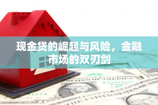 翔安现金贷的崛起与风险，金融市场的双刃剑