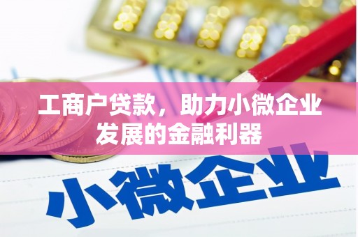 翔安工商户贷款，助力小微企业发展的金融利器