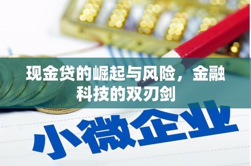 翔安现金贷的崛起与风险，金融科技的双刃剑