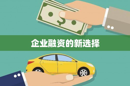 翔安企业融资的新选择