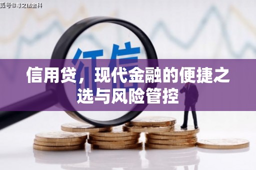 翔安信用贷，现代金融的便捷之选与风险管控