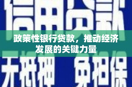 翔安政策性银行贷款，推动经济发展的关键力量