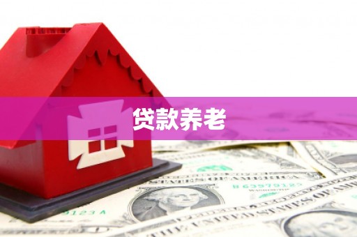 翔安贷款养老
