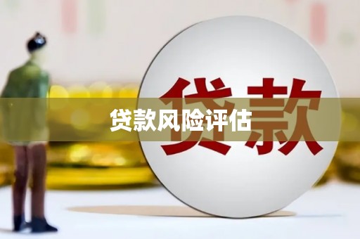翔安贷款风险评估