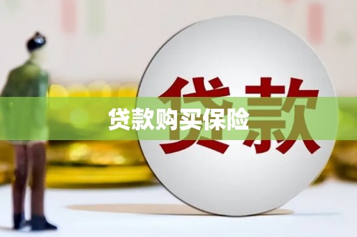 翔安贷款购买保险