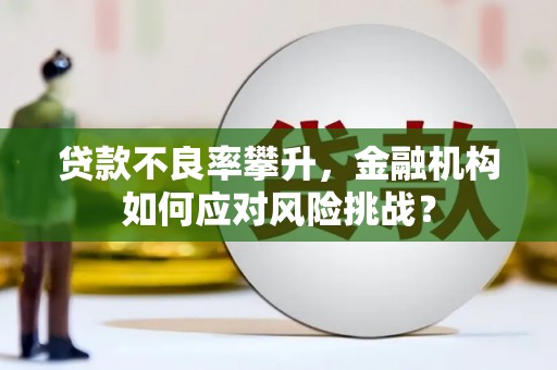翔安贷款不良率攀升，金融机构如何应对风险挑战？