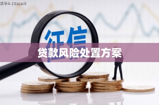 翔安贷款风险处置方案