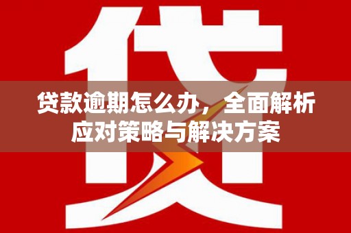 翔安贷款逾期怎么办，全面解析应对策略与解决方案