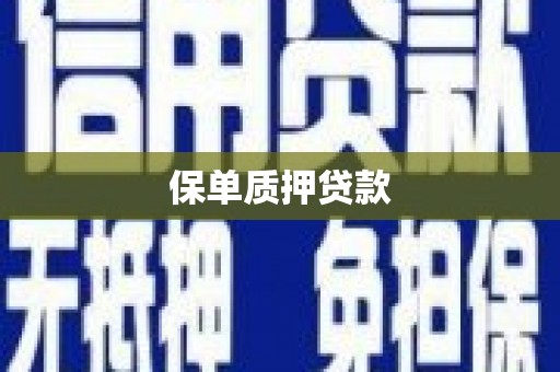 翔安保单质押贷款