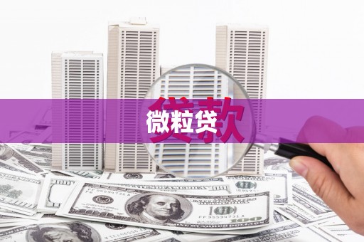 翔安微粒贷