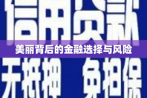 翔安美丽背后的金融选择与风险