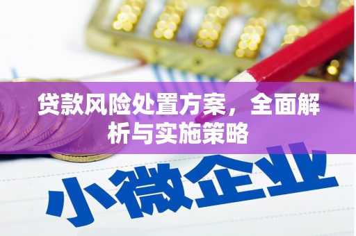 翔安贷款风险处置方案，全面解析与实施策略